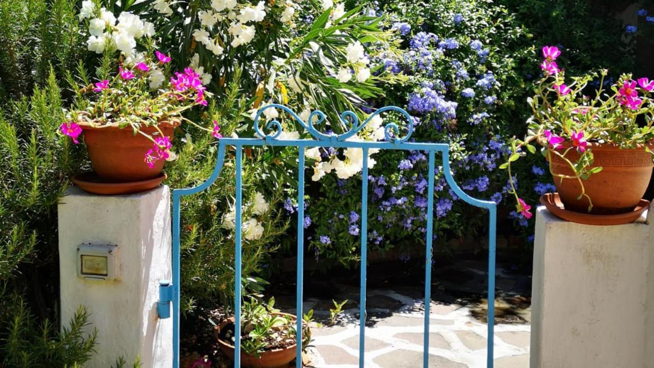 Welcomely - L'Oleandro Όλμπια Εξωτερικό φωτογραφία